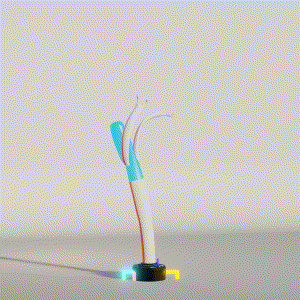 wacky_dude_tubes: 4879