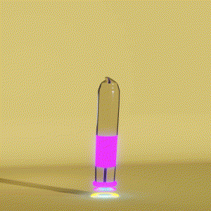 wacky_dude_tubes: 6482