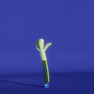 wacky_dude_tubes: 1035