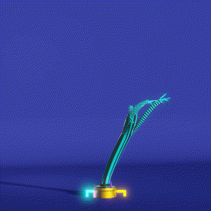wacky_dude_tubes: 9494