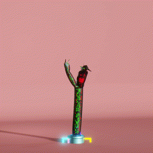 wacky_dude_tubes: 8347