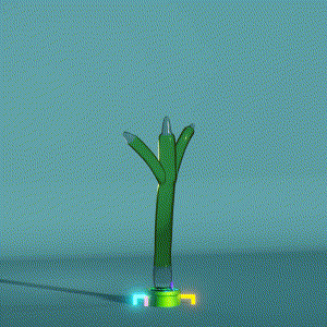 wacky_dude_tubes: 6034
