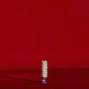 wacky_dude_tubes: 6210