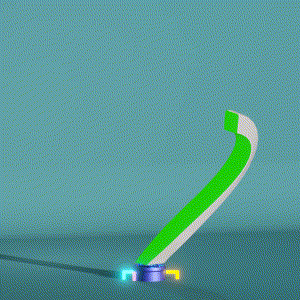wacky_dude_tubes: 1039