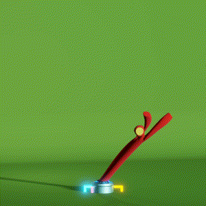 wacky_dude_tubes: 6896