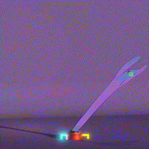 wacky_dude_tubes: 8033