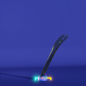 wacky_dude_tubes: 3509