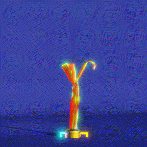 wacky_dude_tubes: 1597