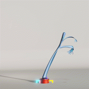 wacky_dude_tubes: 3505