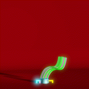 wacky_dude_tubes: 2580