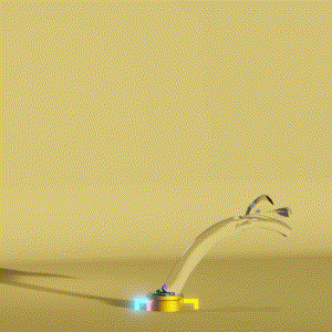 wacky_dude_tubes: 3379