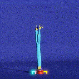 wacky_dude_tubes: 7016