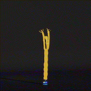 wacky_dude_tubes: 7077