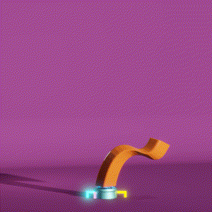 wacky_dude_tubes: 1662