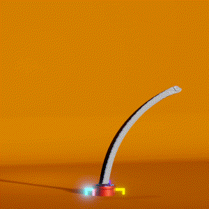 wacky_dude_tubes: 8398