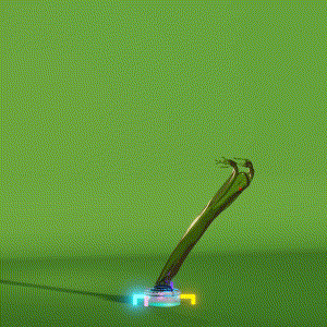 wacky_dude_tubes: 8475