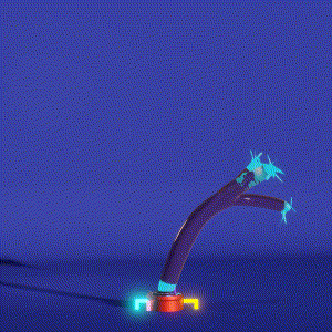 wacky_dude_tubes: 5019