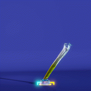 wacky_dude_tubes: 4621