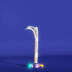 wacky_dude_tubes: 65