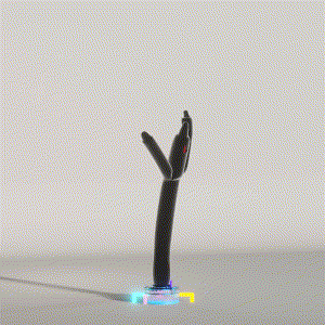 wacky_dude_tubes: 8181