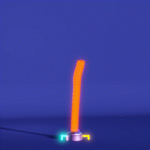 wacky_dude_tubes: 7779