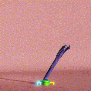 wacky_dude_tubes: 2592