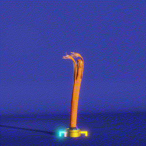 wacky_dude_tubes: 9981