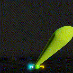 wacky_dude_tubes: 4198