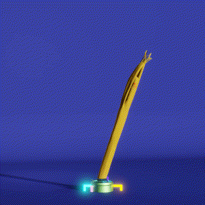 wacky_dude_tubes: 1423