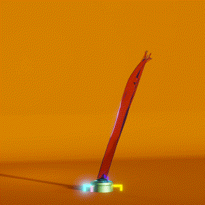 wacky_dude_tubes: 2891