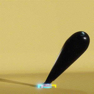 wacky_dude_tubes: 5312