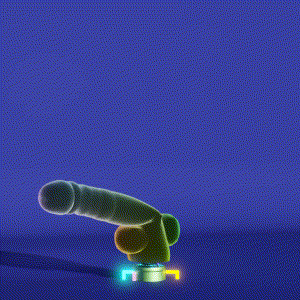 wacky_dude_tubes: 5308