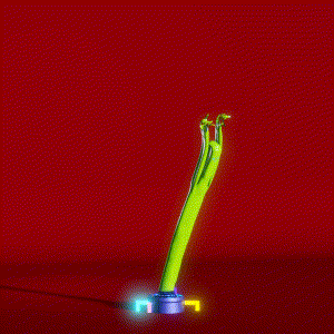 wacky_dude_tubes: 5485