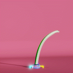 wacky_dude_tubes: 9303
