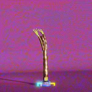 wacky_dude_tubes: 6784