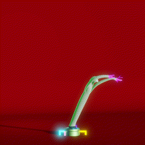 wacky_dude_tubes: 2765