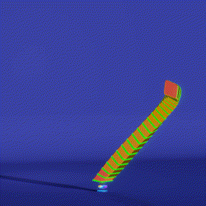 wacky_dude_tubes: 3257