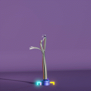 wacky_dude_tubes: 7036