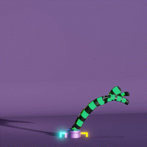 wacky_dude_tubes: 6036