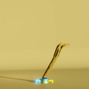wacky_dude_tubes: 4038
