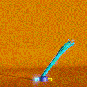 wacky_dude_tubes: 8098
