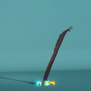 wacky_dude_tubes: 6703