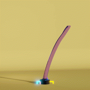 wacky_dude_tubes: 1037