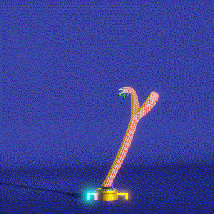 wacky_dude_tubes: 1569