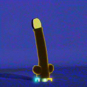 wacky_dude_tubes: 7166