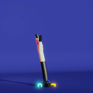 wacky_dude_tubes: 1003