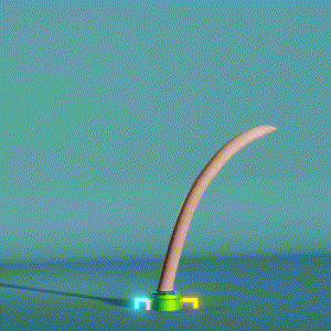 wacky_dude_tubes: 1098