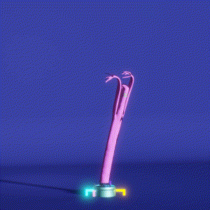 wacky_dude_tubes: 3196
