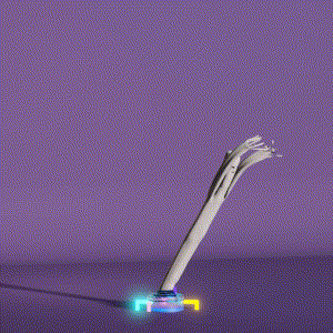 wacky_dude_tubes: 9346