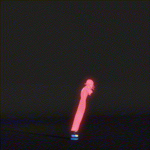 wacky_dude_tubes: 8589